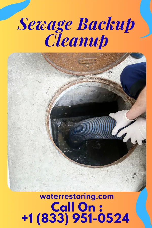 Sewage Backup Cleanup in Ballou, OK